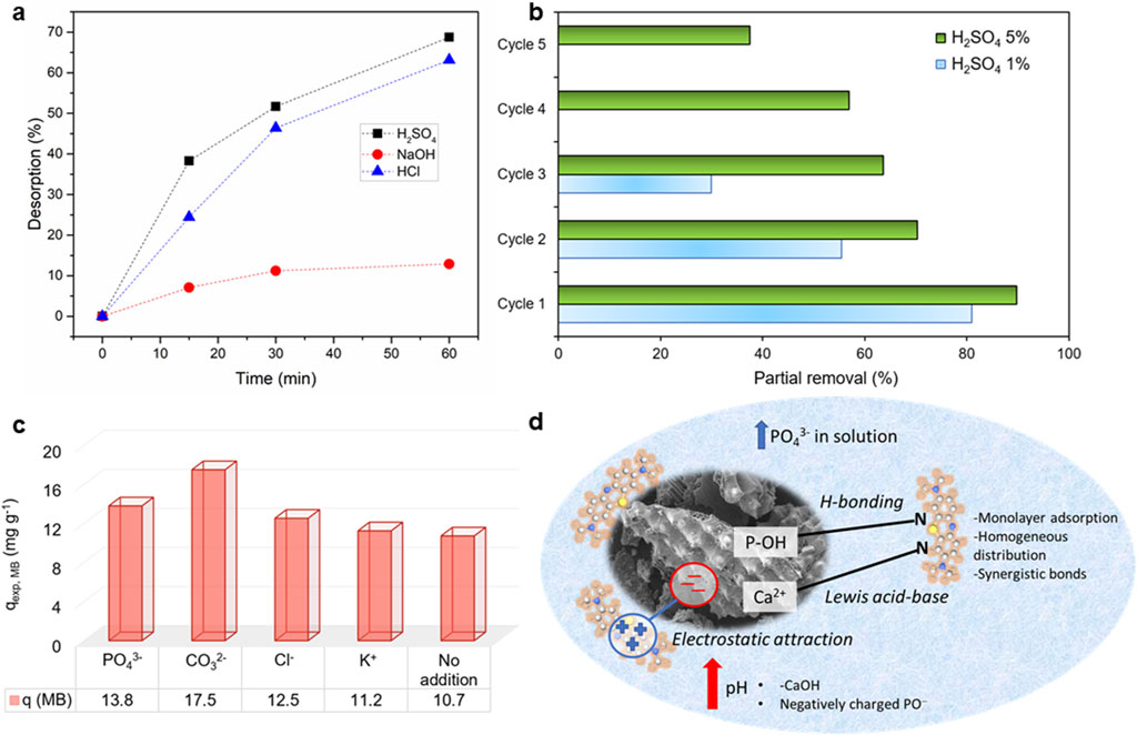 MB adsorption bone meal
