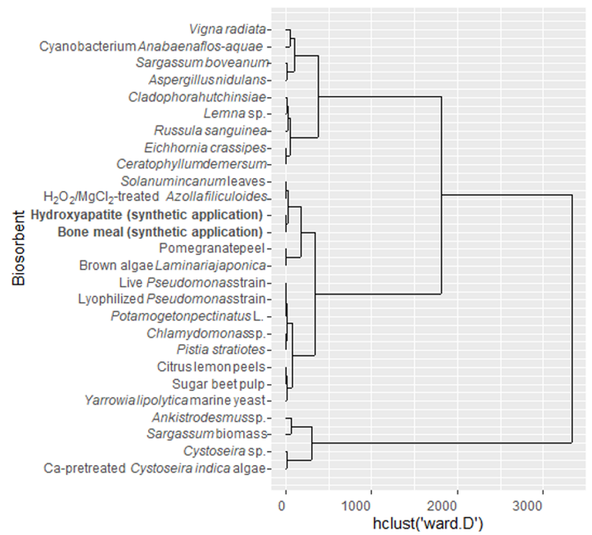 Clustering for uranium biosorption