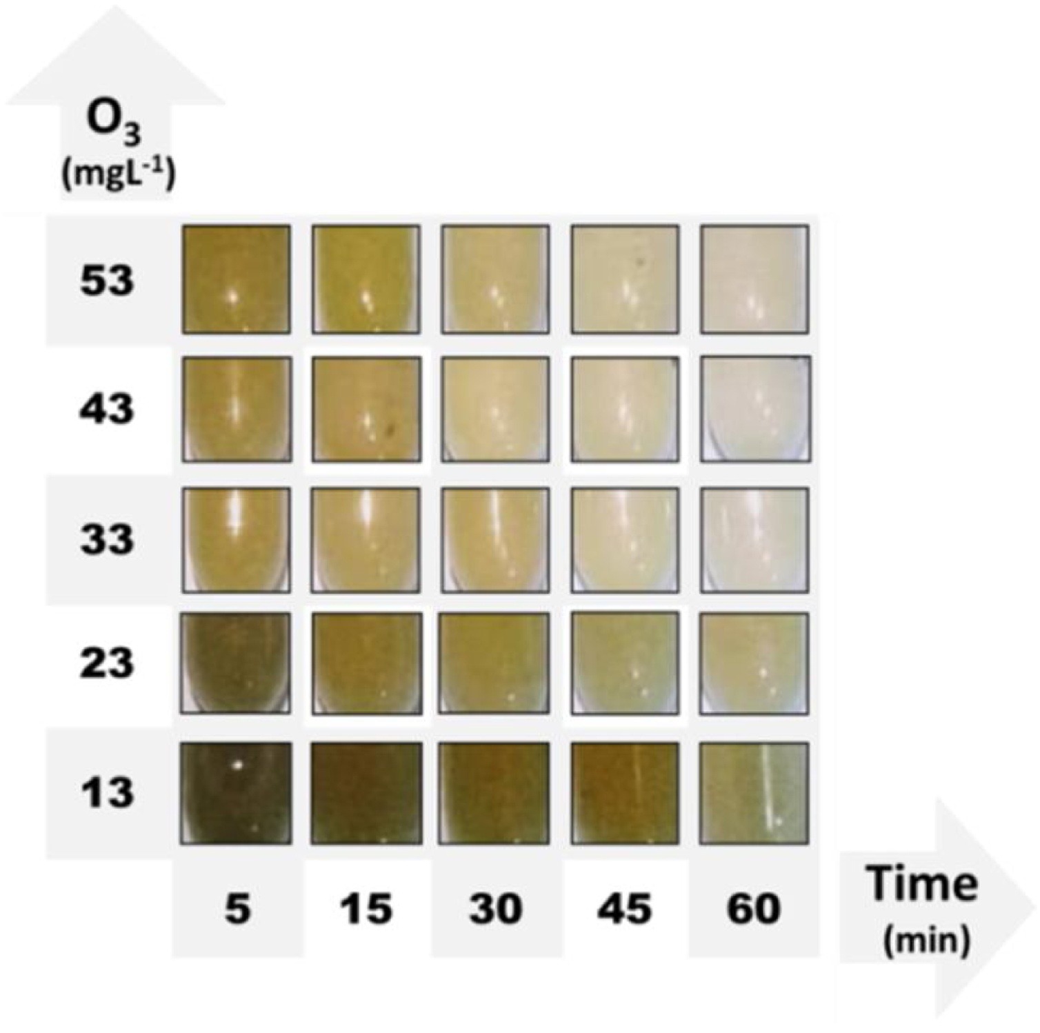 Ozonation of oil sludge