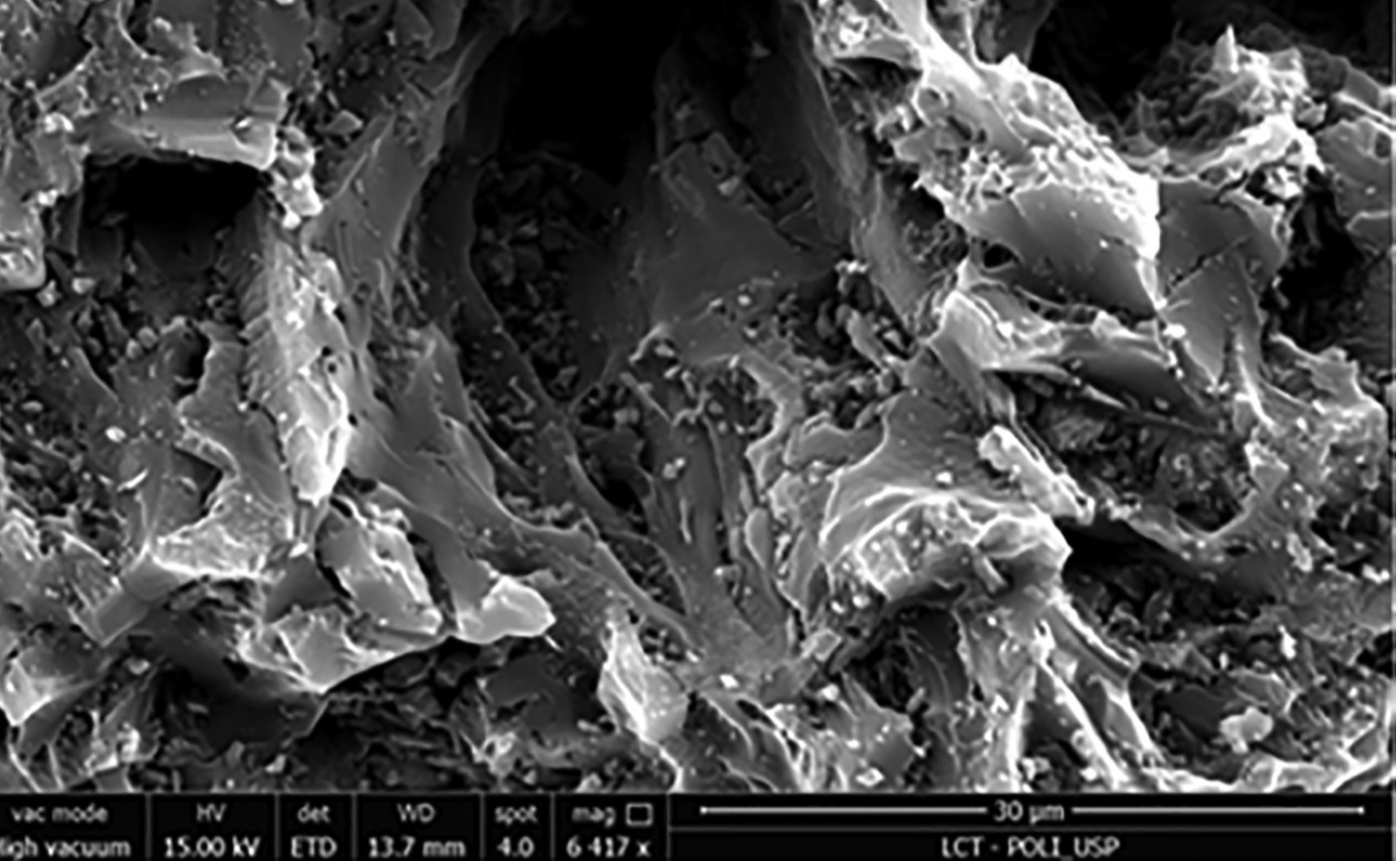 SEM of activated biochar